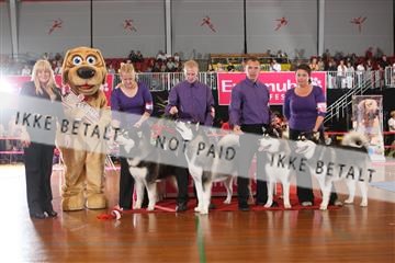 6068_ma_05_IMG_5424.JPG