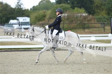 181894_mtp_05_R62_4165.JPG