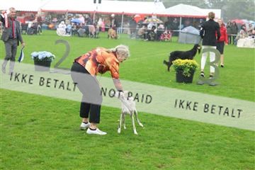 182009_rin_02_R62_0963.JPG