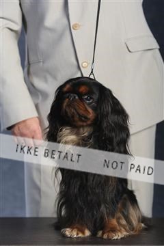 132082_le_ 01_IMG_0658.JPG