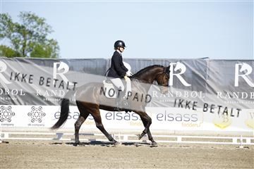 181449_kbb_01_6II9766.JPG