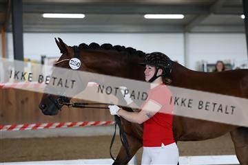 181756_mtp_01_R62_1687.JPG