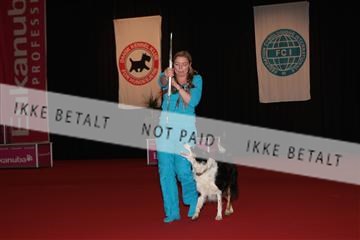 126827_tl_02_IMG_2779.JPG