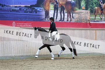 181887_mtp_04_R62_9264.JPG