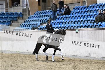 182241_kbb_01_Z094171.JPG