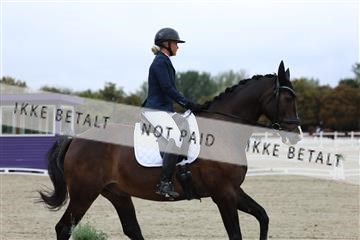 181923_mtp_02_R62_7118.JPG