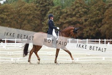 181923_mtp_04_R62_8357.JPG