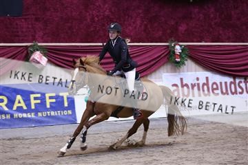 153985_nn_03_IMG_9097.JPG