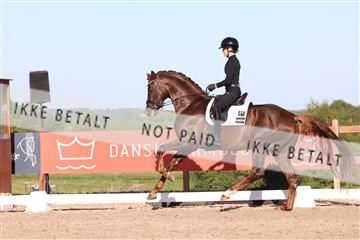 181449_bc_01R62_6413.JPG