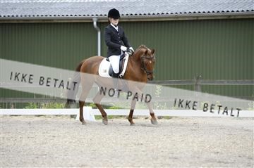 139898_ms_01__MS27563.JPG
