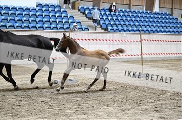 181754_kbb_01_Z093023.JPG