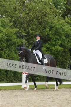 139835_sg_03_IMG_9003.JPG
