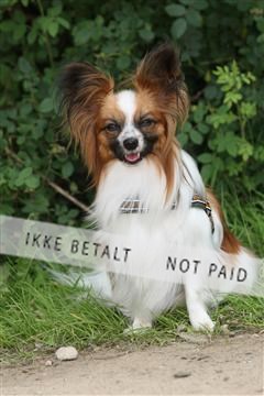 130370_se_01_IMG_5321.JPG