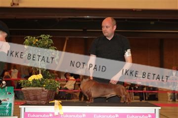 124188 _tl_02_IMG_9610.JPG