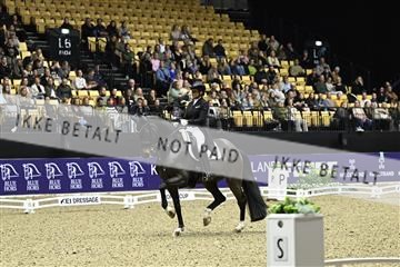 182194_kbb_03_Z091567.JPG