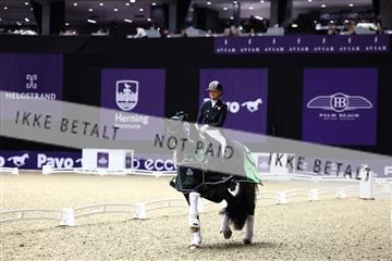 182194_avh_05_3071.JPG
