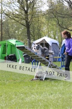 134871_ms_02_IMG_3119.JPG