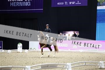 182194_avh_07_3794.JPG