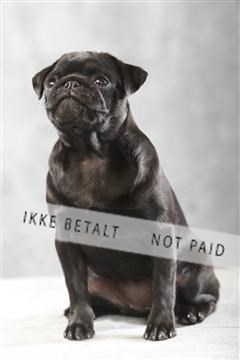 129608_le_ 01_0175.JPG