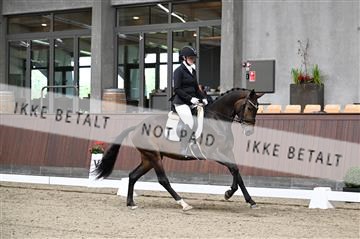 177458_kuo_01_Z09_3725.JPG