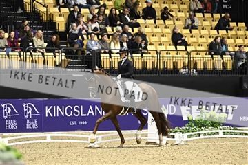 182194_kbb_03_Z090924.JPG