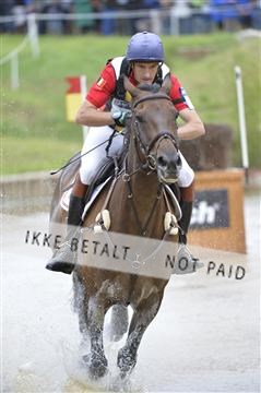 144462_bc_22__BC16542.JPG