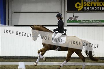 141472_abo_01__AB15154.JPG