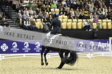 182194_kbb_03_Z091945.JPG