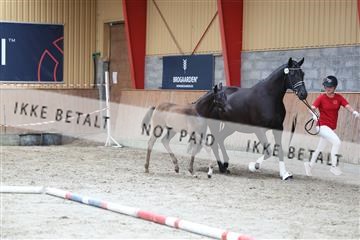 181868_mtp_03_R62_6001.JPG