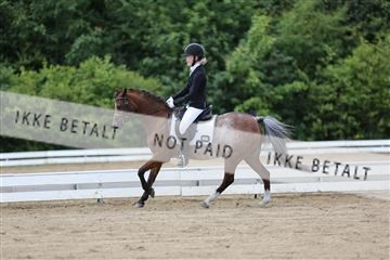 156196_nn_01_IMG_6063.JPG