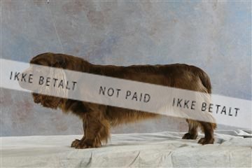 5493_sme _03__MG_9797.JPG