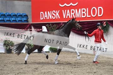 164516_kuo_01_D05_1746.JPG