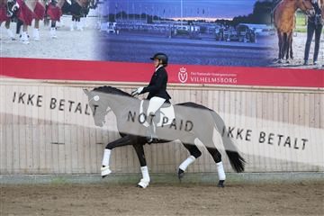 181887_mtp_02_R62_7366.JPG