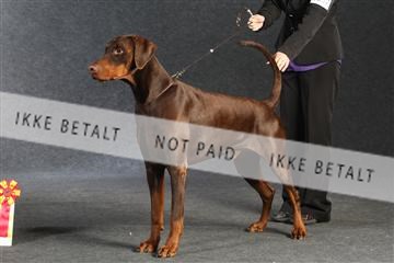 132082_le_ 01_IMG_1349.JPG