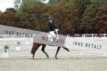 181923_mtp_02_R62_7038.JPG