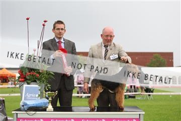 130370_le_02_IMG_8734.JPG