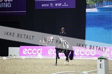 182194_mlm_01_R62_0059.JPG