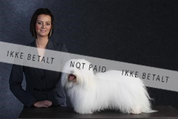 132082_le_ 01_IMG_0396.JPG