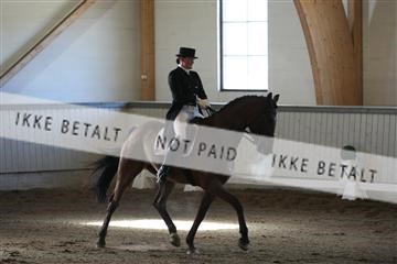139267_kl_1_8M1Q6440.JPG