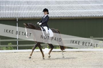 139898_ms_01__MS27773.JPG
