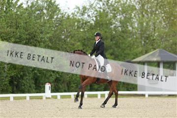 139835_sg_01_IMG_7636.JPG