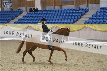 139403_ms_01__MS17930.JPG
