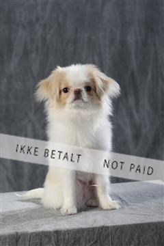 128239_le_kort_ 01_0108.JPG