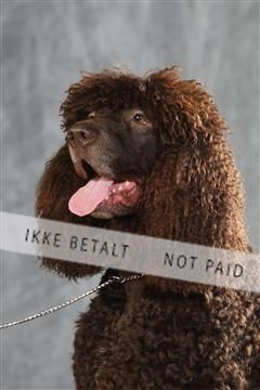 130054_le_ 01_0337.JPG