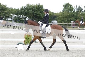 166078_rhj_01__J7R2282.JPG