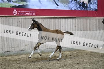 181754_kbb_01_Z093984.JPG