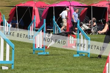 130370_tl_02_IMG_7839.JPG