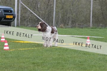 124188 _tl_02_IMG_9481.JPG