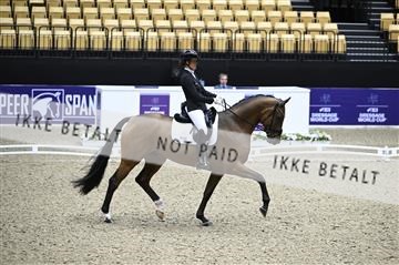 182194_kbb_01_Z095370.JPG