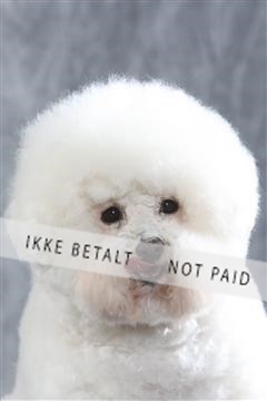 129608_le_ 01_0112.JPG